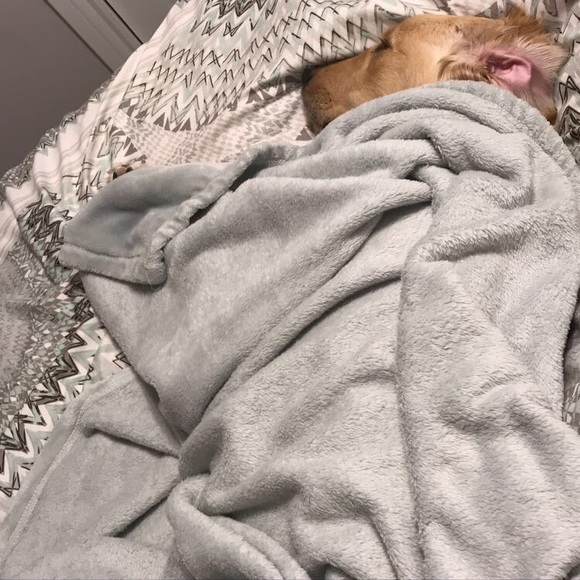 Meet your Posher, Kaylie - Picture 10 of 13